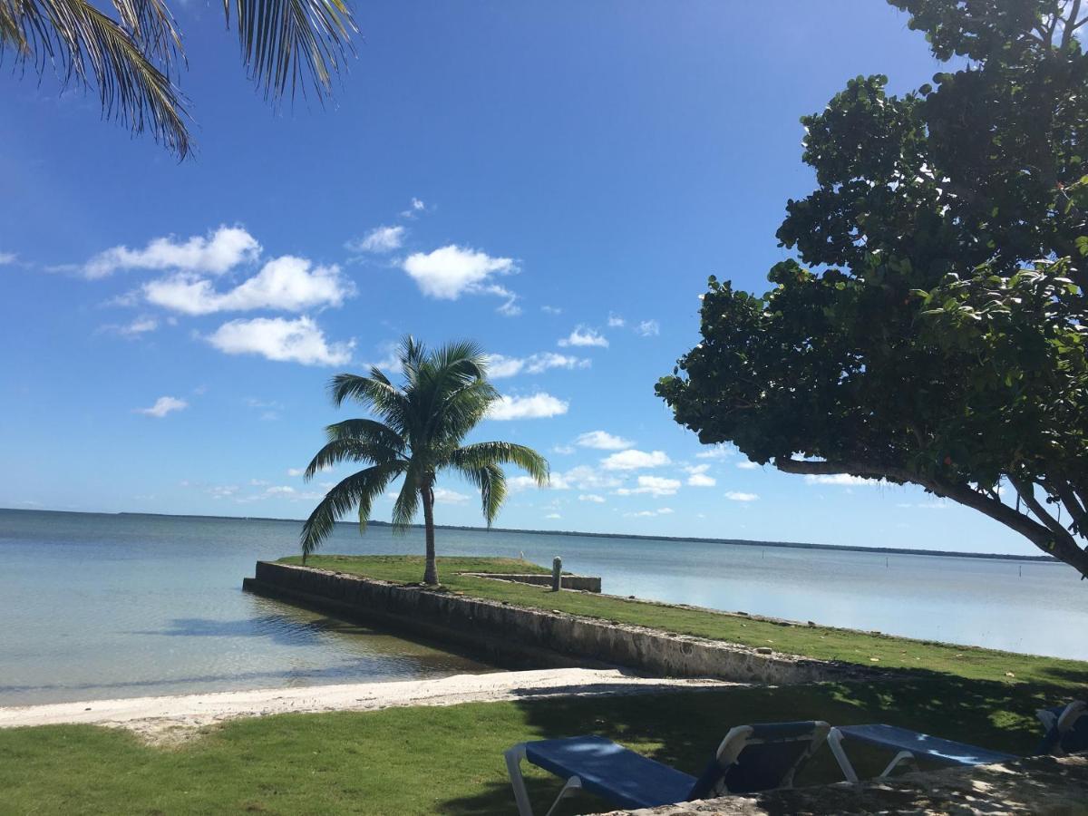 Almond Tree Hotel Resort Corozal Town Esterno foto