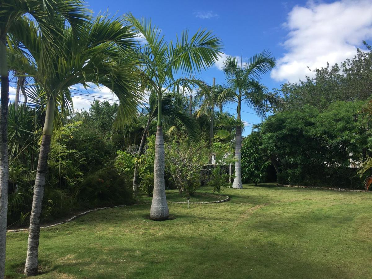 Almond Tree Hotel Resort Corozal Town Esterno foto