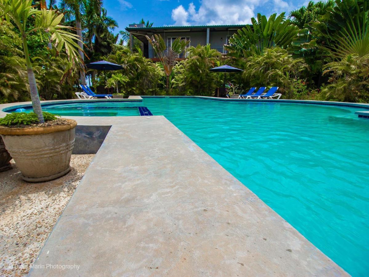 Almond Tree Hotel Resort Corozal Town Esterno foto