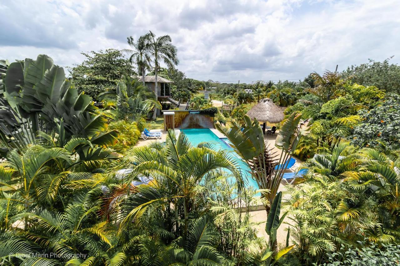 Almond Tree Hotel Resort Corozal Town Esterno foto