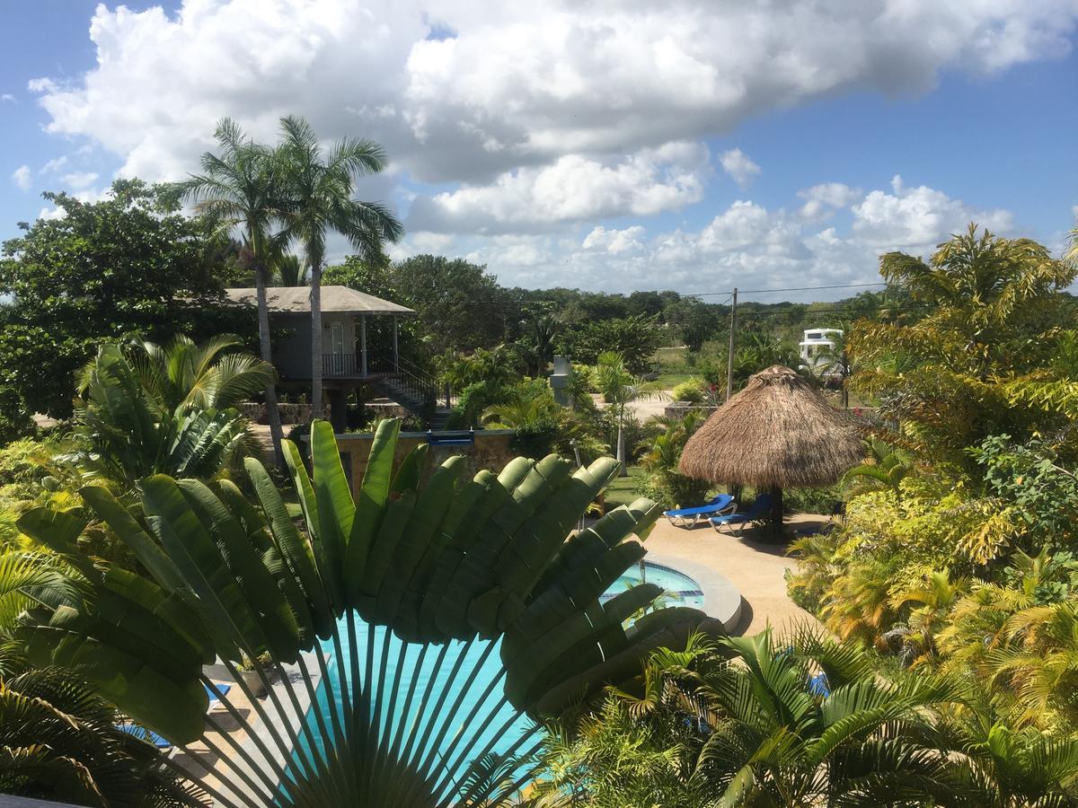 Almond Tree Hotel Resort Corozal Town Esterno foto
