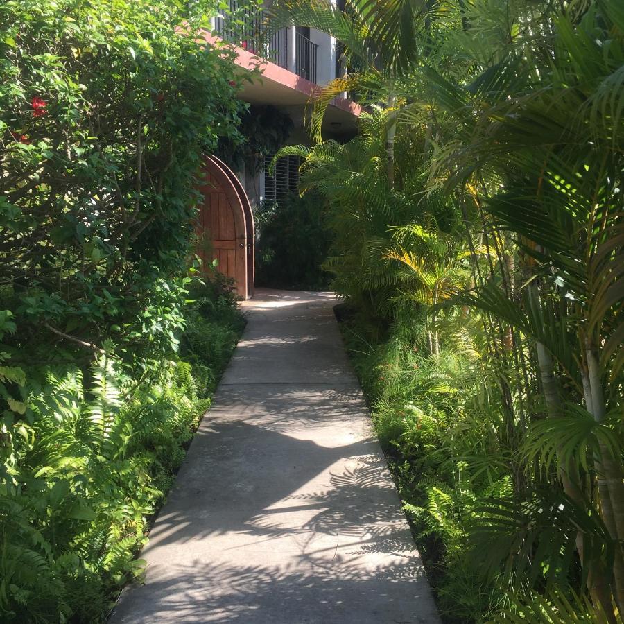 Almond Tree Hotel Resort Corozal Town Esterno foto