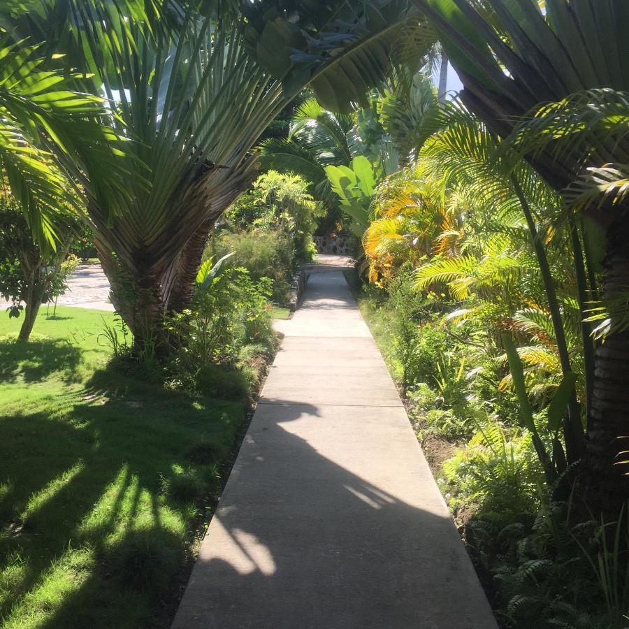 Almond Tree Hotel Resort Corozal Town Esterno foto