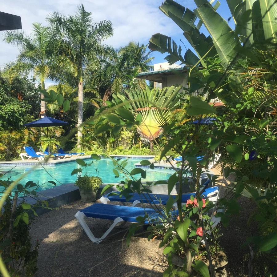 Almond Tree Hotel Resort Corozal Town Esterno foto